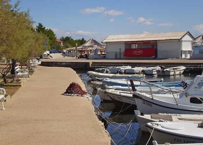 Silvija-1 By Interhome Vir